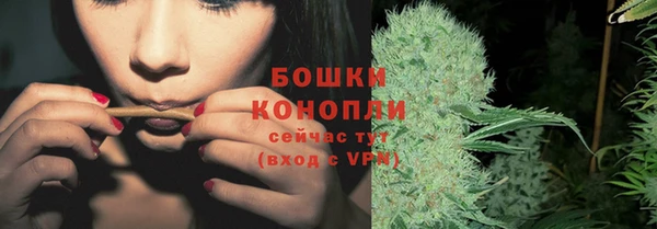 стаф Дмитровск
