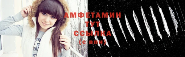 apvp Дмитров
