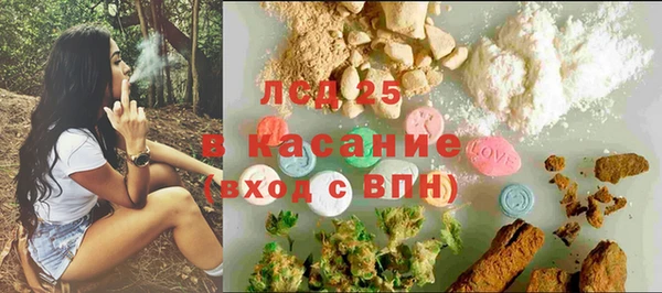 стаф Дмитровск