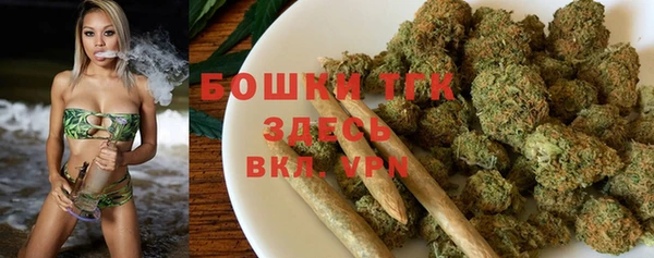 стаф Дмитровск