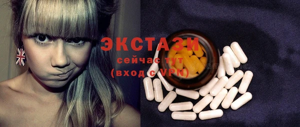 стаф Дмитровск