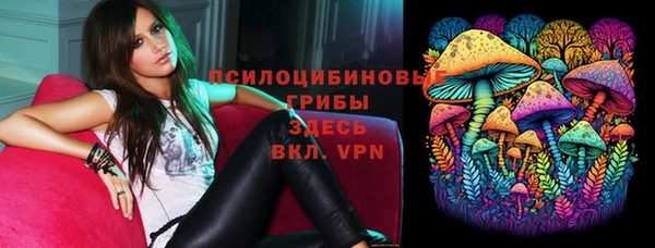 apvp Дмитров