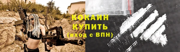 стаф Дмитровск