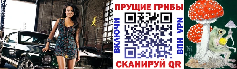 Купить закладки  Кстово  Галлюциногенные грибы мицелий 